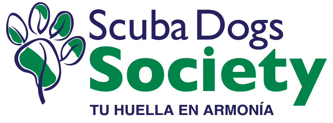 Plataforma SDS